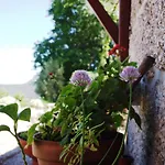 Quinta Da Pousadela - Εξοχικό σπίτι Amarante