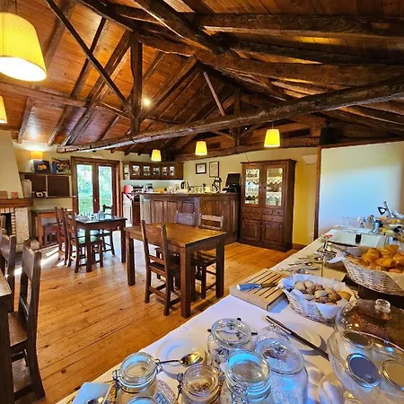 Gospodarstwo wiejskie Quinta Da Pousadela - Amarante