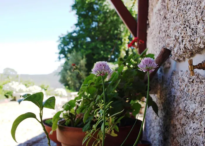 Quinta Da Pousadela - Lantställe Amarante