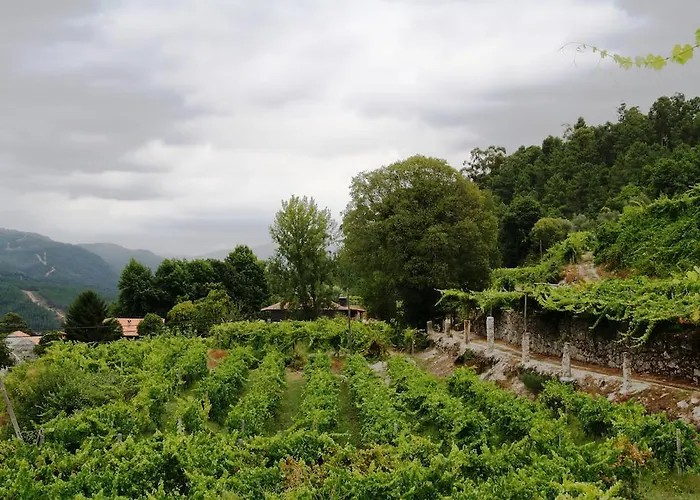 Lantställe Quinta Da Pousadela - *